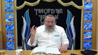 כיבוד אב ואם-מכבדו בחייו ובמותו 4 -קדיש 3 ושליח ציבור -ה טבת תשפ"ו (הרב דניאל אלול) - התמונה מוצגת ישירות מתוך אתר האינטרנט יוטיוב. זכויות היוצרים בתמונה שייכות ליוצרה. קישור קרדיט למקור התוכן נמצא בתוך דף הסרטון