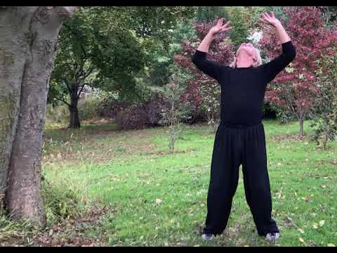 Reclaiming Lost Territory 2020