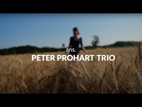 Hitri intervju: ans. PETER PROHART TRIO - 51. FESTIVAL NARODNO-ZABAVNE GLASBE ŠTEVERJAN 2023