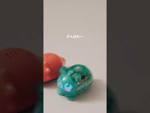 ふたごのマイクロペットたちがかわいい🧡#デジタル #かわいい #おもちゃ #マイクロペット #micropets