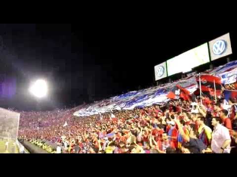 "La Hinchada de Cerro Porteño haciendo fiesta" Barra: La Plaza y Comando • Club: Cerro Porteño • País: Paraguay