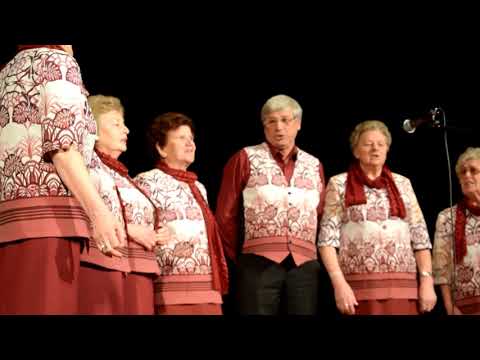 Zapojmo in zaplešimo mlajši in starejši