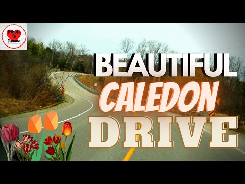 Beautiful Caledon, ON Drive || Old Church Road || Relaxing, Cinematic Music