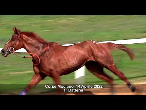 Corse Addestramento Mociano 14 Aprile 2022