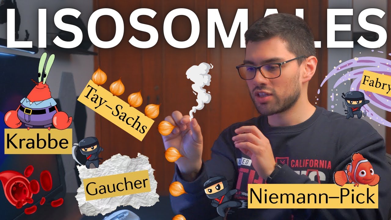 Recuerda las enfermedades de deposito lisosomal con este palacio mental