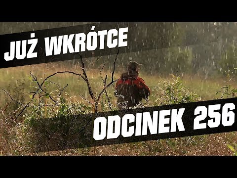 Darz Bór zapowiedź odcinka 256