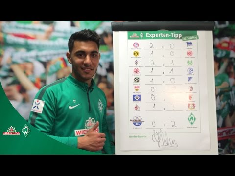WIESENHOF: Werder Experten-Tipp 30. Spieltag