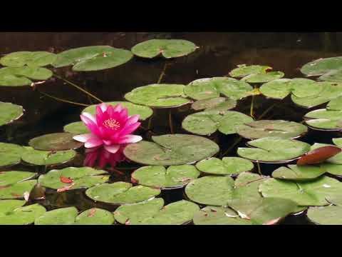 Working with Archangel Azrael in Grief