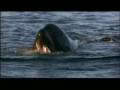 Will You Be There Michael Jackson BSO Orca Keiko En LIBERAD A WILLY