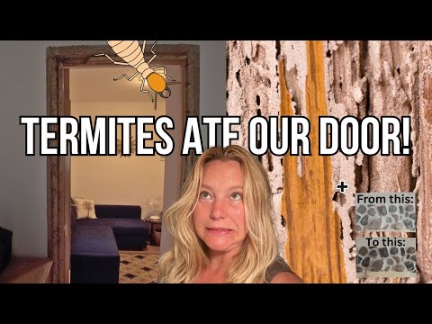 🛠️ From Termite Damage to Rustic Charm | Off-Grid Farmhouse Update
