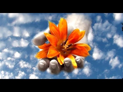 Partir Brincar - Paulo Ciranda