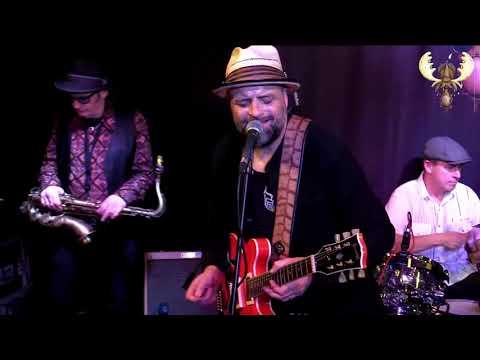 Fat Harry and the Fuzzy Licks - The same thing - live at bluesmoose radio