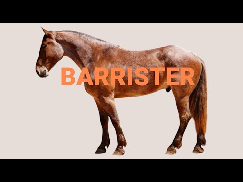 youtube preview