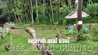 Download lagu SEJARAH ASAL-USUL DESA WONOPRINGGO PEKALONGAN mp3 Download lagu SEJARAH ASAL-USUL DESA WONOPRINGGO PEKALONGAN mp3