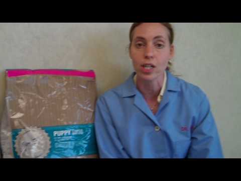 download lagu mp3 mp4 Best Puppy Food For Large Breeds 2017, download lagu Best Puppy Food For Large Breeds 2017 gratis, unduh video klip Best Puppy Food For Large Breeds 2017