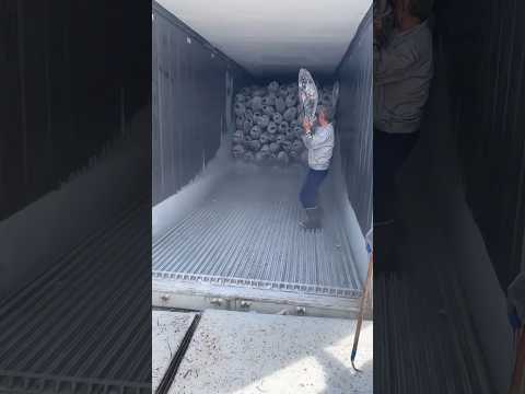 Frozen World_@DanishRhine #iceland #love #travel