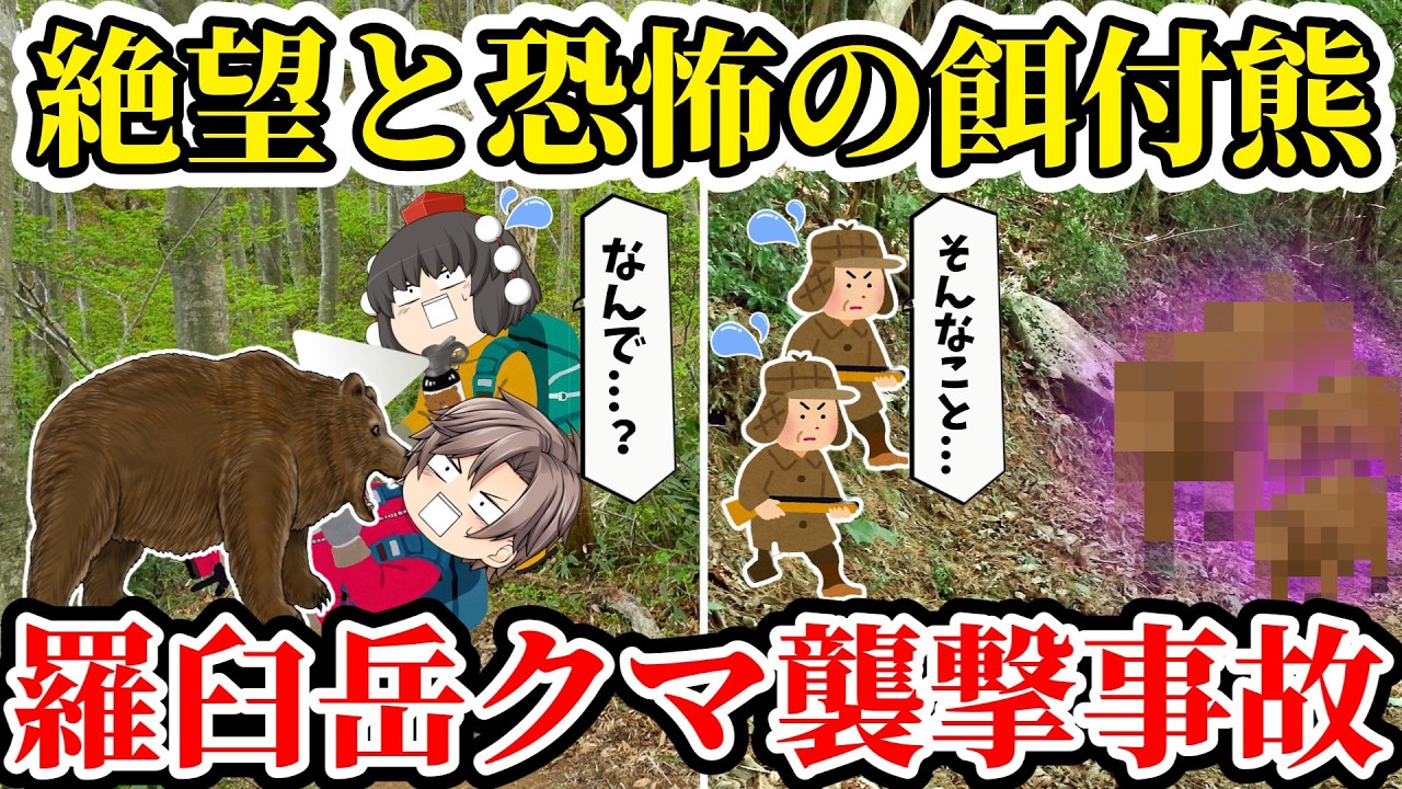 【ゆっくり解説】3月で異常事態発生！！「た...助けて...食べられてる...」目の前で友人が捕食中の熊に襲撃される恐怖【2025年羅臼岳ヒグマ襲撃遭難事故】