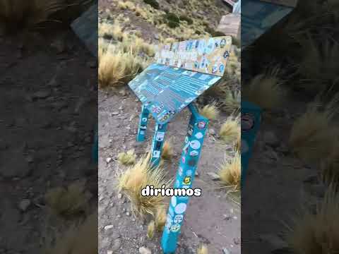 🚂 ¡Llegamos al mítico Viaducto La Polvorilla! (Tren de las nubes)