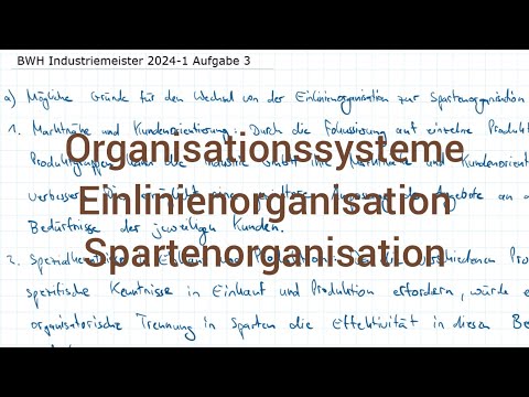 BWH Industriemeister Metall 2024-1 Frühjahr Aufgabe 3 - Organisationssysteme, Einlinen & Sparten