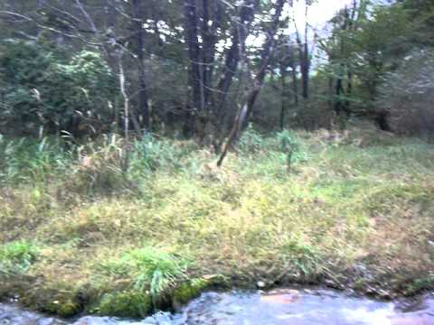 野宿ツーリング