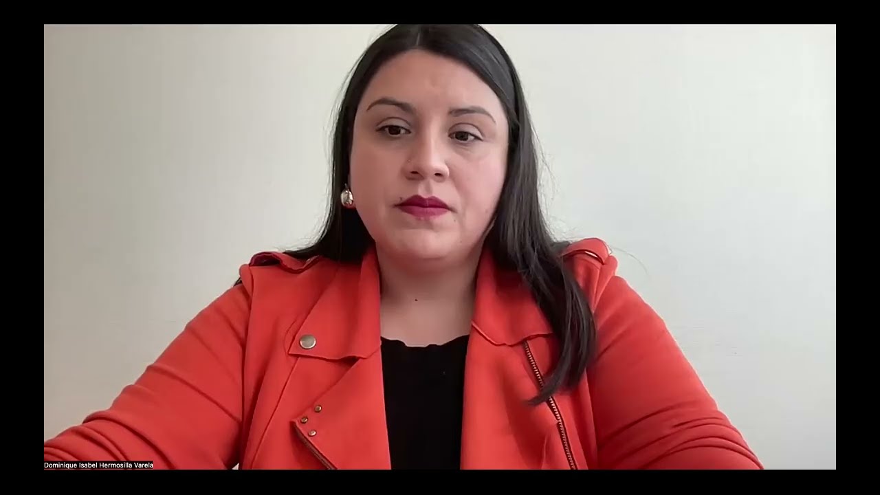 Dominique Varela - How AI Promotes Public Access to Government Information