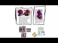 Design 2 Barney 1990 1992 Plush With 2 DVD Pack Waiting For Santa Barney Rhymes With Mother Goose