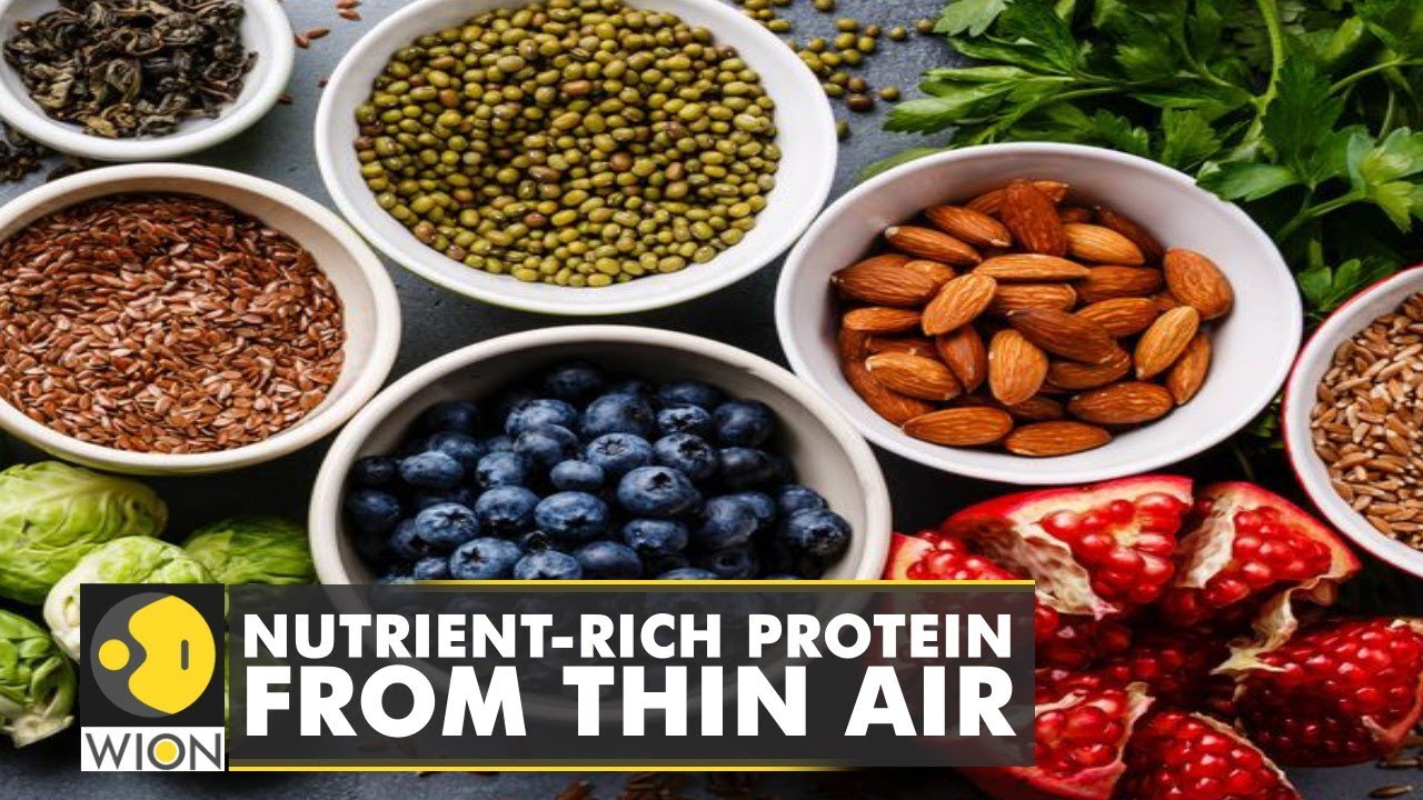 Finnish food tech startup says it is making a new nutrient-rich protein from thin air | WION