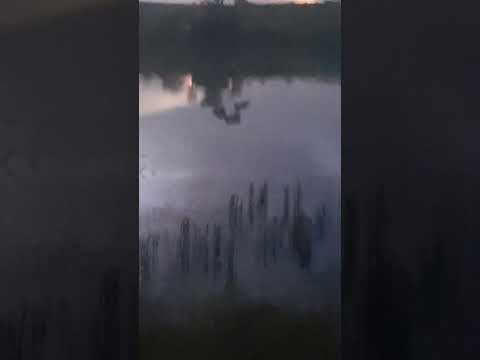 Pescaria em Iguatemi Mato Grosso do Sul 