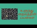 உளுந்து தைலத்தின் பயன்கள் Ullundu Tailam Health Benefi