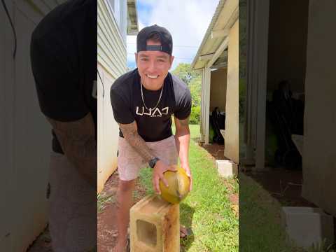 I Picked FRESH Coconuts in Hawaii! 🥥🤤 #AlwaysHydrated