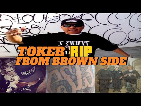 Toker RIP from brown side, with respect my knowledge..#rosarito  #caiman  #sinaloa