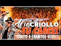 Afro Criollo - TU CÁRCEL (Oficial Video) Tributo A Enanitos Verdes - House Mix