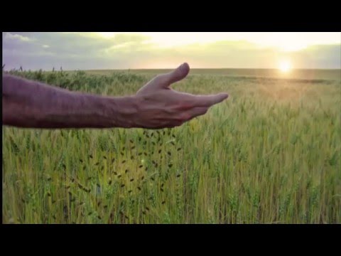 Listen to: Read the Bible in a Year, Day 286 (Mark 4 - 5)