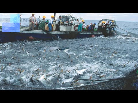 Amazing Net Fishing Under Ice Catch Hundreds Tons of Big Fish  || Catching Super Giant Ocean Tuna