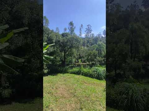 CHÁCARA EM CAMPINA GRANDE DO SUL 20.000M² R$580 mil. 41997779319