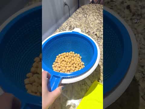 How to sprout your own chickpeas for your vegan meals #sprouting #vegancooking #sadhguru