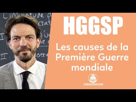 Un débat historique : les causes de la Première Guerre mondiale
