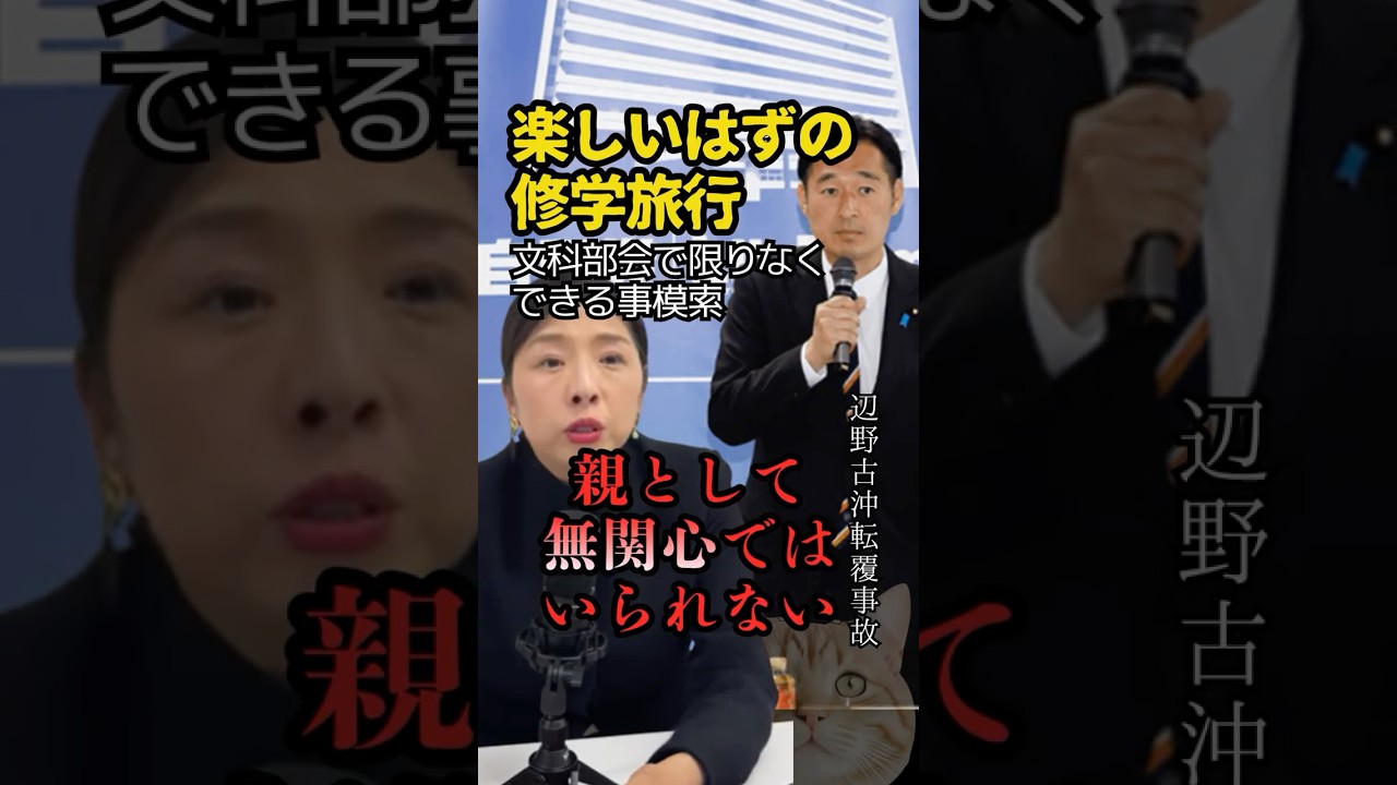 平和教育の大切さを念頭に辺野古問題に対応の構え #高市政権 #門ひろこ #文科部会 #修学旅行 #shorts