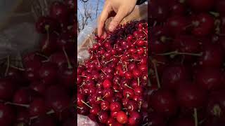 🍒 How To Cut Cherry 🍒  | Fresh Fruit Cutting In My Farm