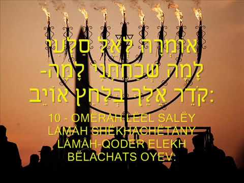 TIKOUN  HAKLALI 10 PSAUMES  POUR LA REPARATION DE L AME ET LA PROTECTION