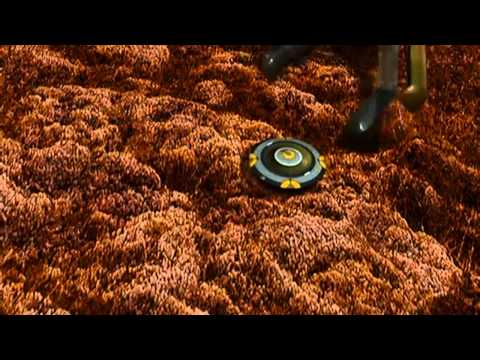 Anax - Ancient voices in my head (Video)