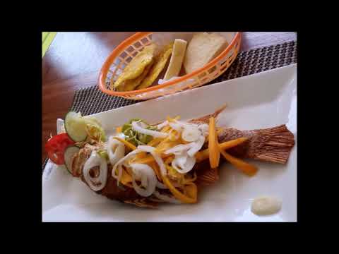 Sheri Fun Vibe - Fisherman's Beach