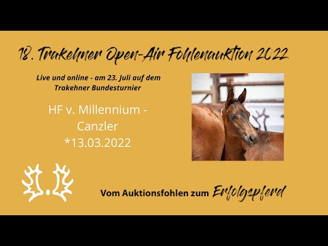 Kat.-Nr.24 HF v. Millennium - Canzler