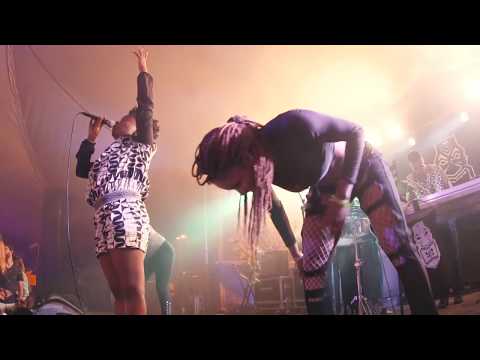 Gato Preto - Feitico (Live)