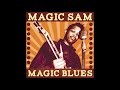 Magic Sam,Every night and every day