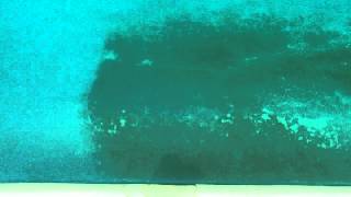 Metal Stain in Pool Removed Instantly