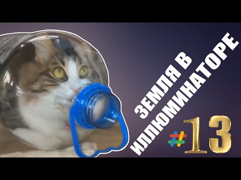 ВЗРЫВНОЙ ВЫПУСК СМЕШНЫХ ВИДЕО #13. ЗЕМЛЯ В ИЛЛЮМИНАТОРЕ (￣▽￣)/