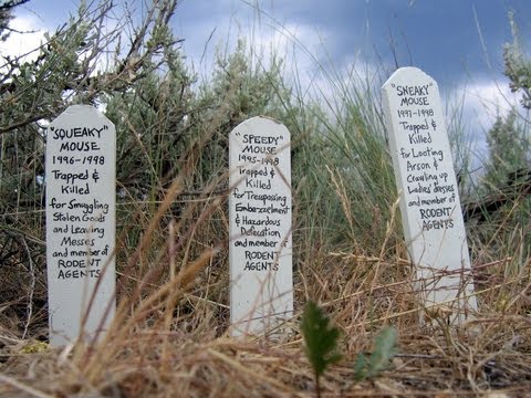 Virginia City Video 1