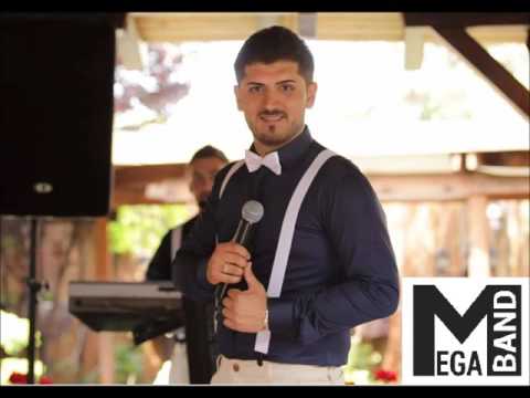 Boban Veljanoski & MEGA BAND MK -,,Prosti mi"- Lesocki folk fest 2016 - (MEGA BEND - MEGA BAND)