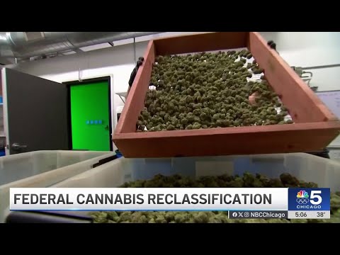 Cannabis reclassification could reshape the Illinois industry